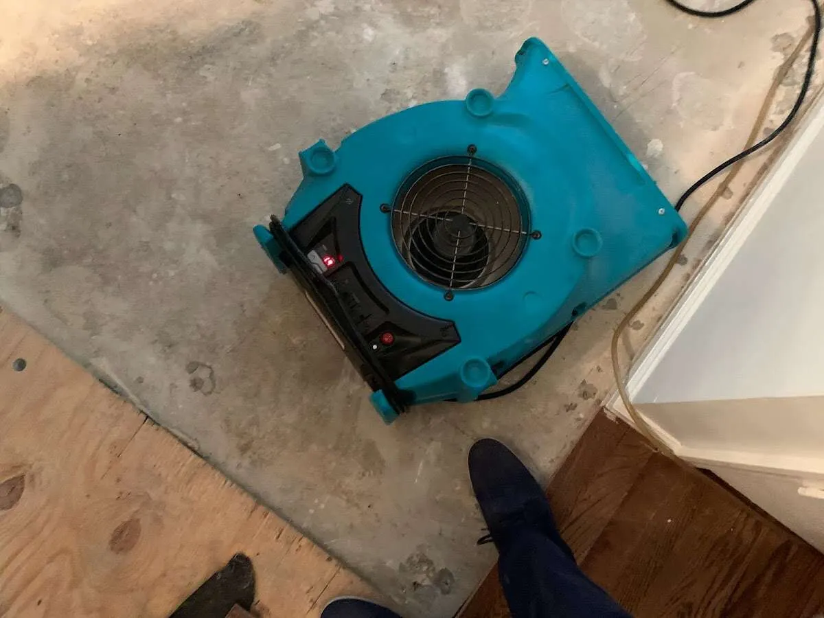 Air mover drying subfloor during Leak Detection & Repair in Sylvania